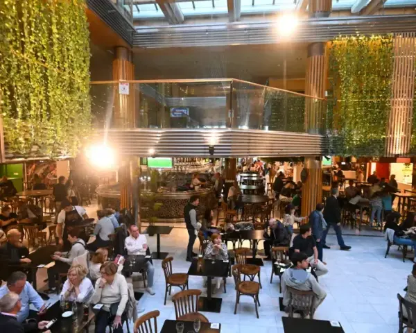 Punto Gastronómico Zaragoza: Deliciosa cocina fusión y reseñas impactantes