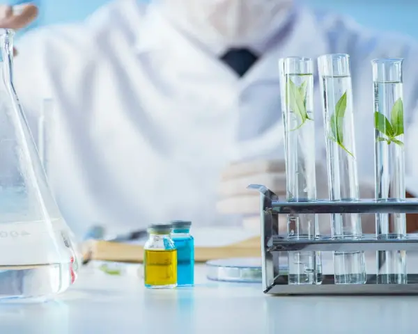 Co można robić po studiach biotechnologii? Odkryj ciekawe kariery