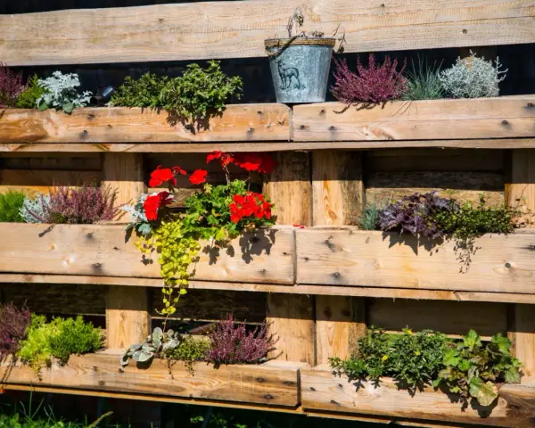 Fioriere con pallet fai da te piene di erica, gerani rossi e piante verdi. Un secchiello decorativo completa l'allestimento.