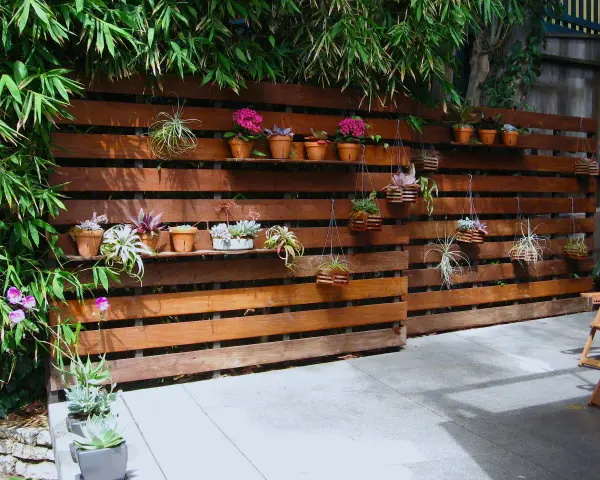 Pareti con bancali di legno ospitano piante grasse e fiori, creando un angolo verde.