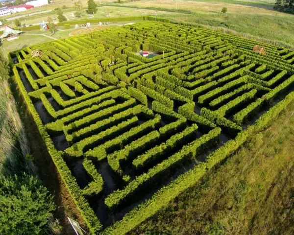 Labirynt Park Łeba: Cennik, atrakcje, godziny. Zaplanuj idealną wizytę!