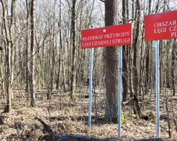 Rezerwaty przyrody w Warszawie - odkryj ukryte skarby natury