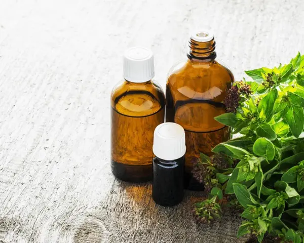 Butelki z olejkiem z oregano, pomocne w walce z grzybicą, obok świeżych gałązek tej rośliny.