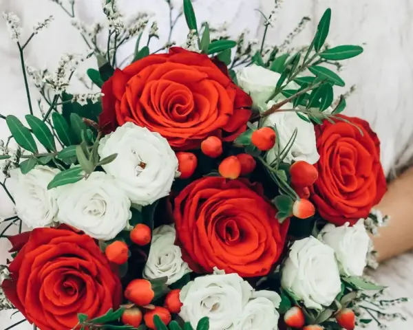 Un ramo de rosas rojas y blancas, adornado con bayas rojas y delicadas flores blancas, evoca la belleza de las flores de febrero.