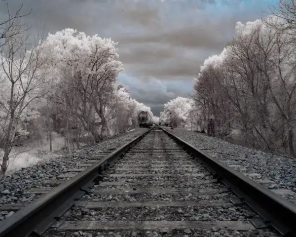 Voie ferrée menant à un train solitaire, bordée d'arbres aux feuilles blanches et d'un ciel orageux.