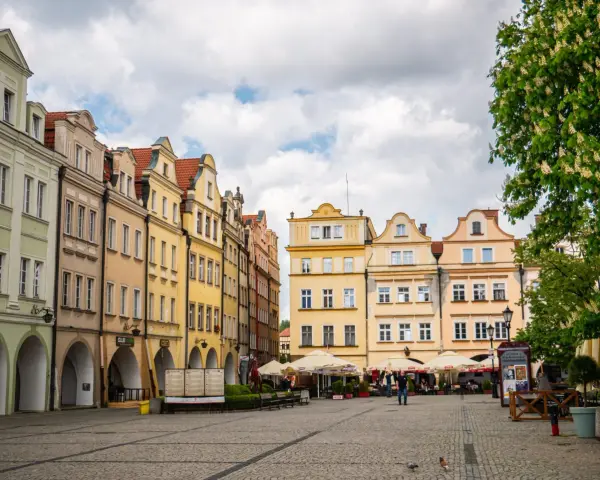 Kolorowe kamienice z arkadami na Rynku w Jeleniej Górze, z drzewem w kwiecie po prawej.