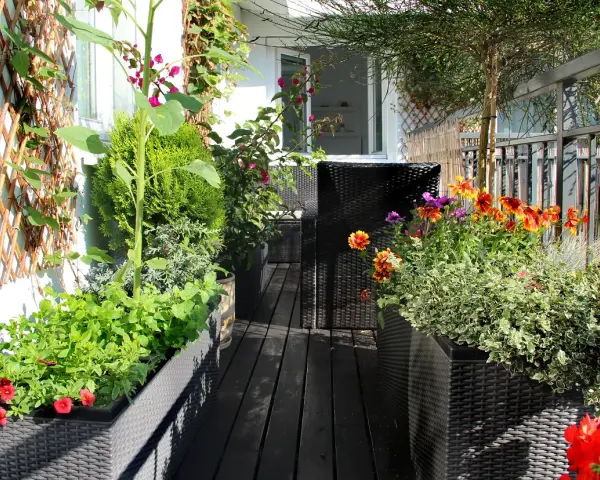 Un vibrante huerto urbano en un balcón, con girasoles, flores coloridas y plantas verdes en macetas.