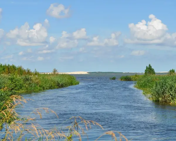 Spokojne jezioro na wybrzeżu słowińskim, otoczone zielenią i trzcinami, z piaszczystymi wydmami w oddali pod błękitnym niebem.
