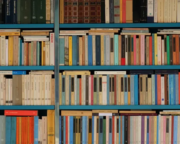 Estanterías llenas de libros con títulos variados, una biblioteca repleta de historias esperando ser descubiertas.
