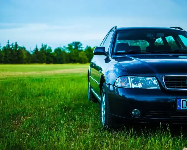 Ciemny Audi A4 B6 2.0 benzyna na tle zielonej łąki i lasu.