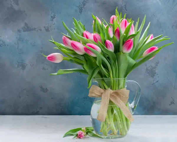 Bukiet różowych tulipanów w dzbanku z jutową kokardą. Czy wiesz, że tulipan to symbol wiosny i miłości?