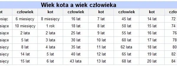 Jak liczyć wiek dziecka w hotelu, aby uniknąć nieprzyjemnych niespodzianek
