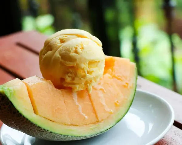 Une boule de glace au melon, fondante, repose sur une tranche de melon frais, sur une assiette blanche.