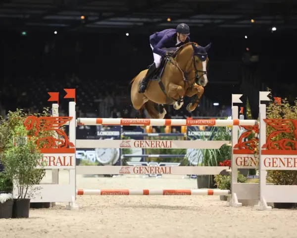 Un cavalier allemand CSO saute un obstacle dans une arène intérieure, sous les lumières vives.