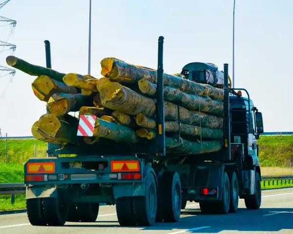 Ciężarówka z drewnem na przyczepie. Ładunek wystaje znacząco, co może budzić pytania, ile może wystawać ładunek z przyczepy.
