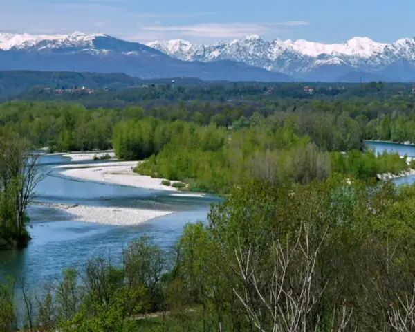 Il fiume Ticino serpeggia tra boschi rigogliosi, con montagne innevate all'orizzonte.
