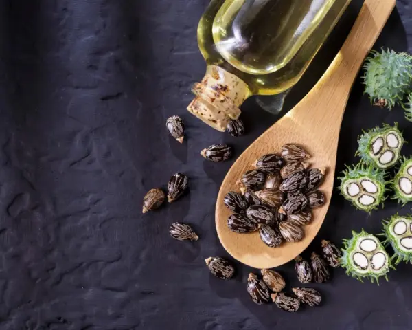 Semi di ricino e olio di ricino spalmato sulla pancia per un rimedio naturale.