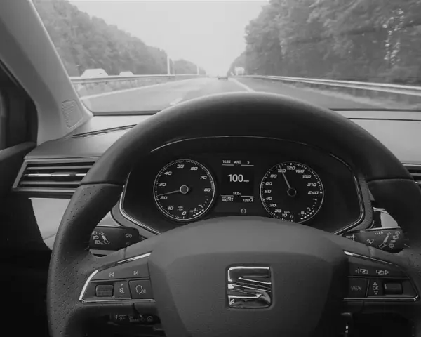Blick auf das Armaturenbrett eines Autos mit aktiviertem Tempomat. Der Tacho zeigt 100 km/h.