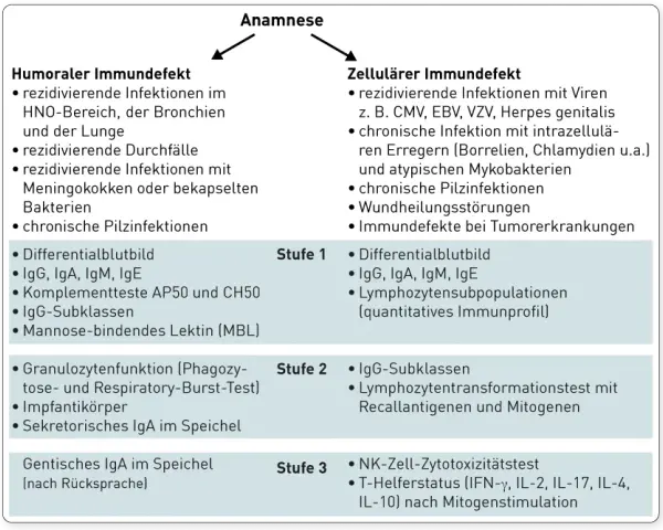 Die wichtige Rolle der Immundefekt Diagnostik im Gesundheitswesen