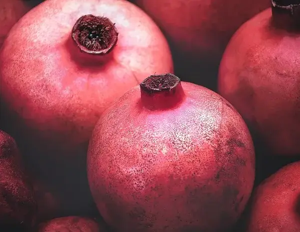 Czy pies może jeść granata? Odkryj ryzyka i bezpieczne metody podawania