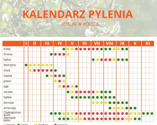 Co pyli w Szczecinie w listopadzie? Alergiku, sprawdź!