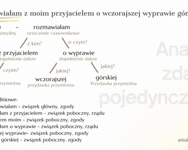 Schemat analizy zdania pojedynczego: "Rozmawiałam z moim przyjacielem o wczorajszej wyprawie górskiej.