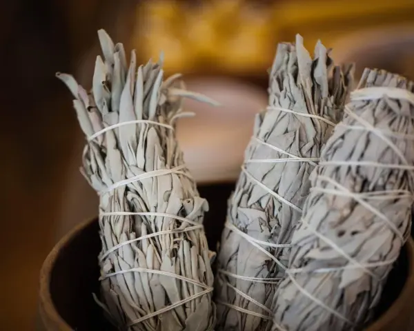 Manzados de incienso limpia casas para que sirve. Hierbas secas atadas con hilo blanco, listas para purificar espacios.