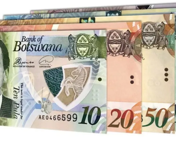 Różne banknoty botwańskiej waluty, Pula, z wizerunkiem zebry i godłem.