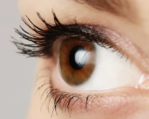 Occhio marrone con ciglia lunghe e folte, un riflesso luminoso suggerisce l'uso di olio di silicone per un effetto brillante.