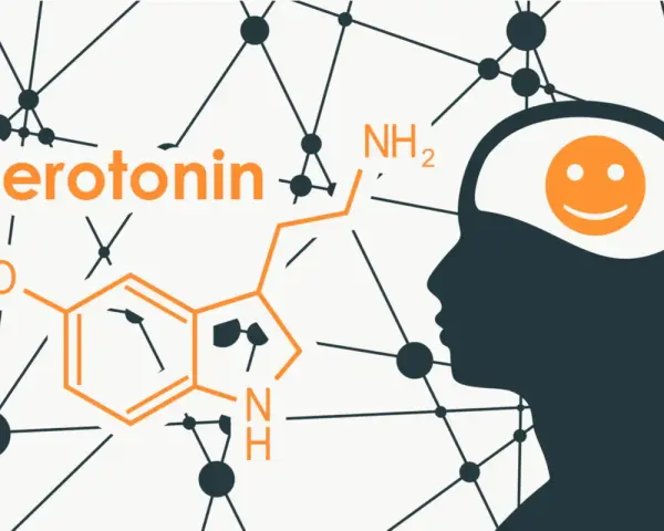 Profilo umano con simbolo di felicità nel cervello, accanto alla formula chimica della serotonina. La dopamina e la serotonina influenzano l'umore.