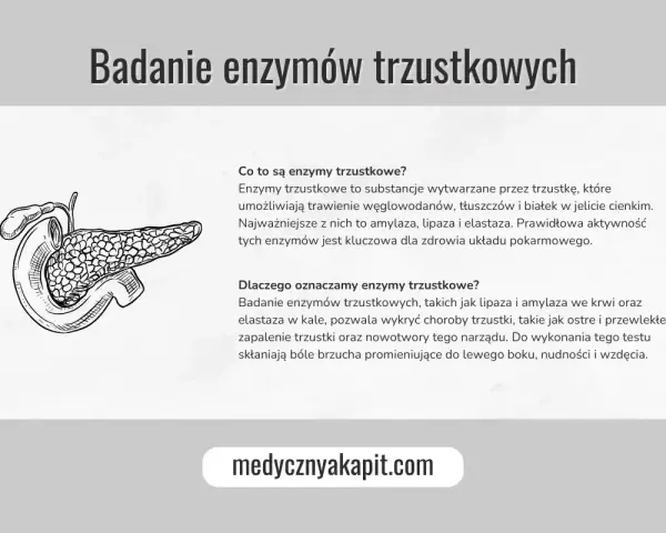 Ilustracja trzustki. Badanie enzymów trzustkowych, w tym lipazy, pomaga wykryć choroby tego narządu.