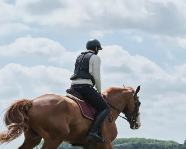 Cavalier en tenue d'équitation sur un cheval bai, sous un ciel nuageux. La tête d'arsouille du cheval est visible, prête pour l'aventure.