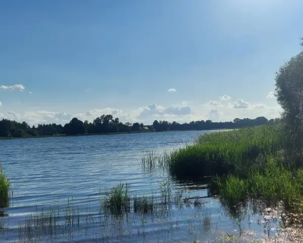 Chłopiec z podbierakiem na pomoście nad jeziorem Marianowo. Słoneczny dzień, błękitne niebo z chmurkami.