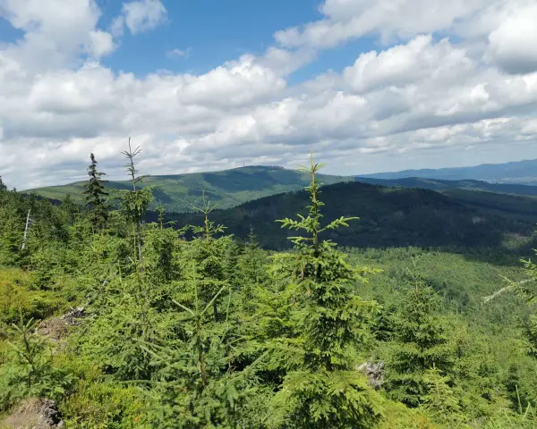 Widok na zielone, zalesione góry w okolicy Żywca. W oddali widać kolejne pasma górskie i błękitne niebo z białymi chmurami.