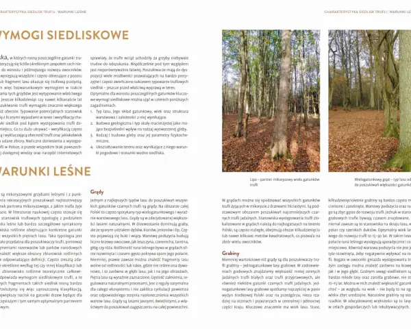 Wskazówki, jak znaleźć trufle: lasy liściaste, grądy i grabiny, wiek drzewostanu i rodzaj gleby to kluczowe czynniki.