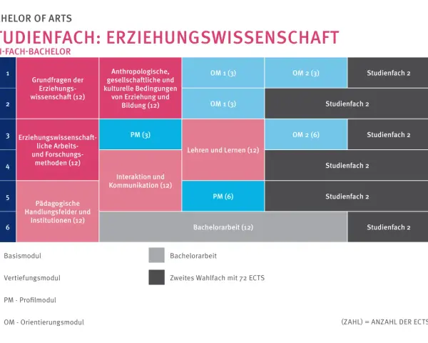 Studienplan für Erziehungswissenschaften im Bachelor. Zeigt Module wie "Grundfragen der Erziehungswissenschaft" und "Pädagogische Handlungsfelder".