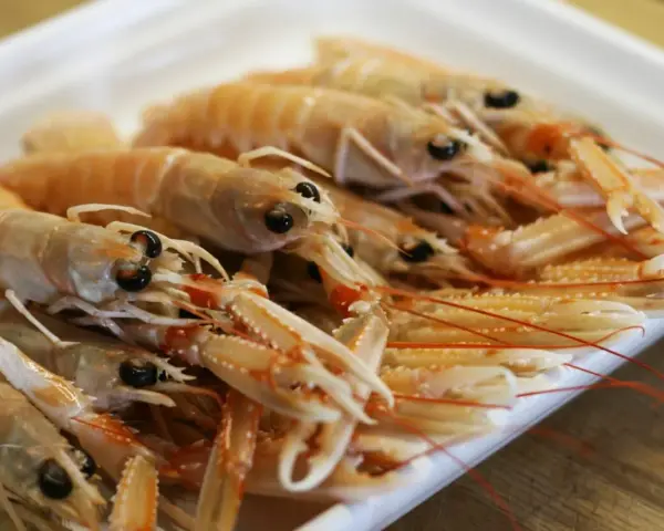 Un plato lleno de cigalas a la plancha, listas para ser degustadas.