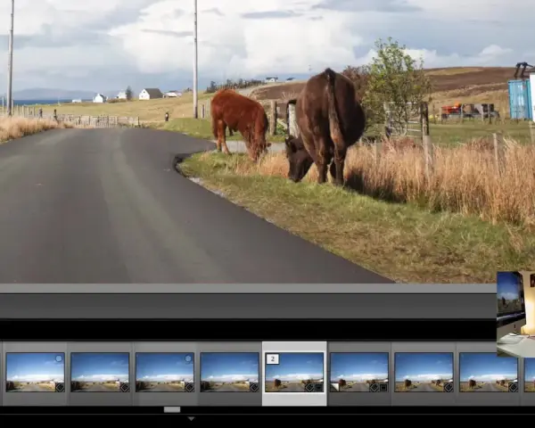 Dans Lightroom, on peut dupliquer une photo pour expérimenter. Ici, des vaches paissent près d'une route écossaise.