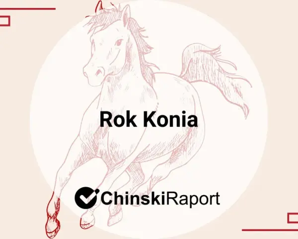 Ilustracja przedstawia biegnącego konia z napisem "Rok Konia".