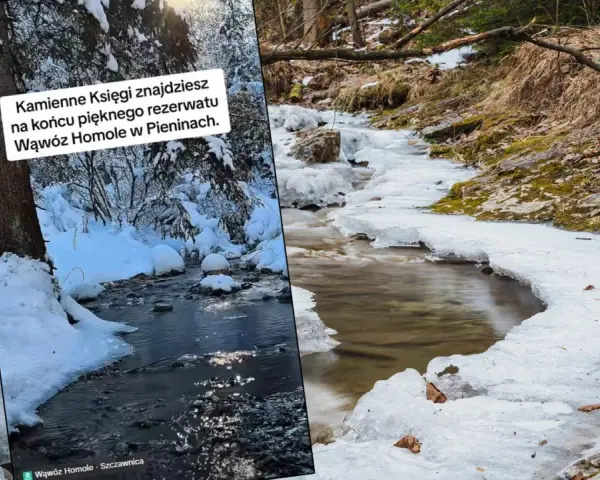 Zimowy spacer przez Wąwóz Homole. Lód i śnieg otaczają strumień, tworząc malowniczy krajobraz. Czas przejścia przez ten piękny rezerwat to niezapomniane przeżycie.