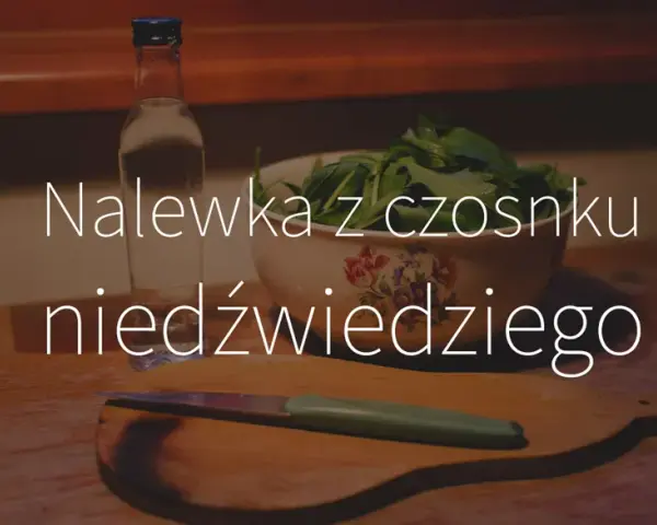 Nalewka z czosnku niedźwiedziego: Dawkowanie, korzyści i przeciwwskazania