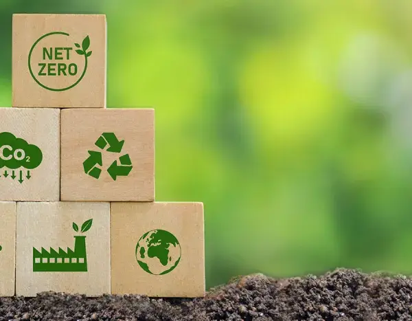 Recykling: Jak skutecznie przetwarzać odpady i chronić środowisko