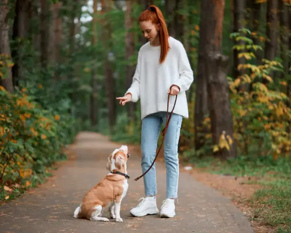 Rudowłosa dziewczyna uczy psa chodzić na smyczy w lesie. Pies siedzi, patrząc na nią z uwagą.