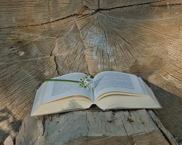 Otwarta księga z kwiatem na tle pnia drzewa. Wśród stron odnalezione najpiękniejsze psalmy.