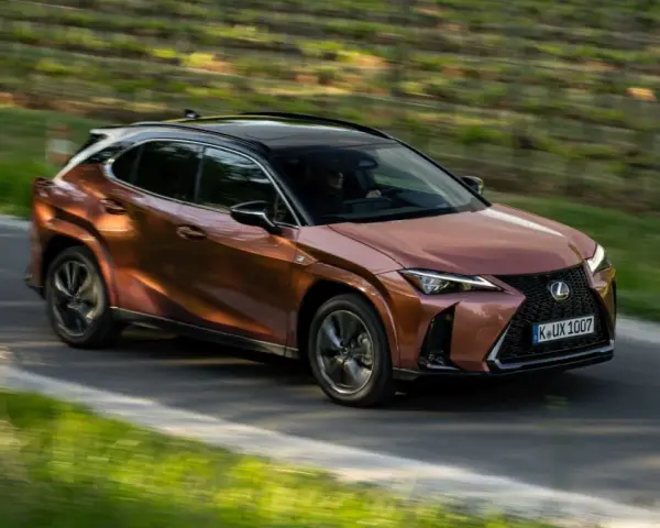 Brązowy Lexus UX 300h jedzie po krętej drodze wśród zieleni.