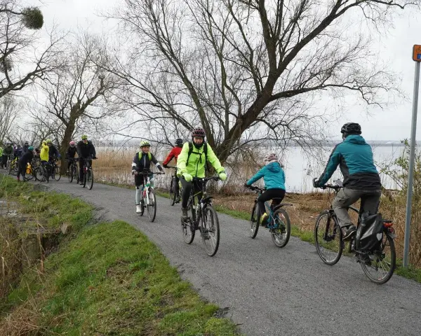Grupa rowerzystów przemierza malownicze ścieżki rowerowe Szczecina, ciesząc się aktywnym wypoczynkiem nad wodą.