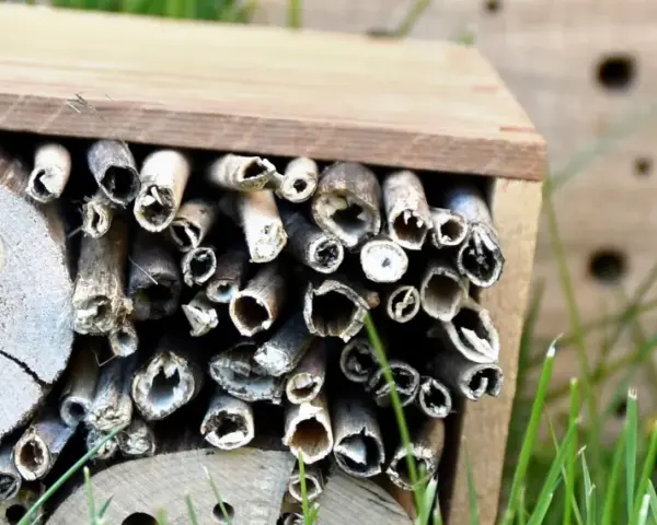 Ett insektshotell av trä fyllt med bamburör och träbitar med hål. Perfekt för att hjälpa pollinerare.