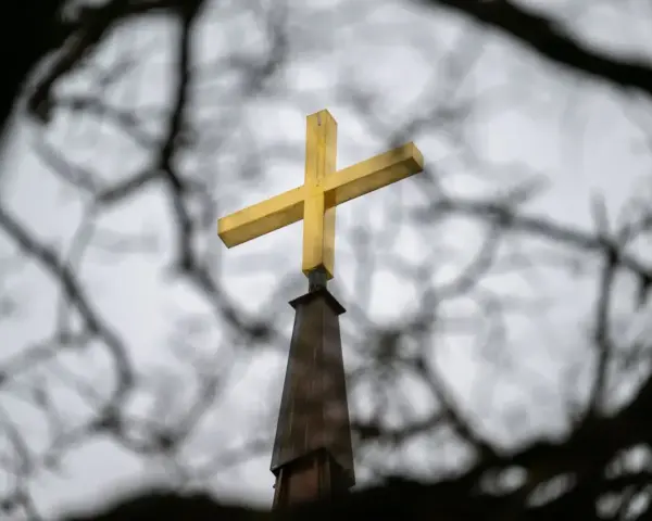 Goldenes Kreuz auf Kirchturmspitze, umrahmt von Ästen. Gedanken an die Kirchensteuer reduzieren.