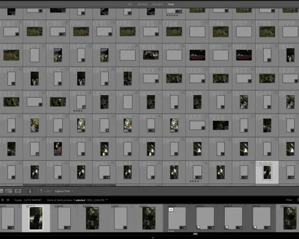 Interface Lightroom : plusieurs vignettes de photos, certaines avec un point d'exclamation indiquant un "fichier introuvable".