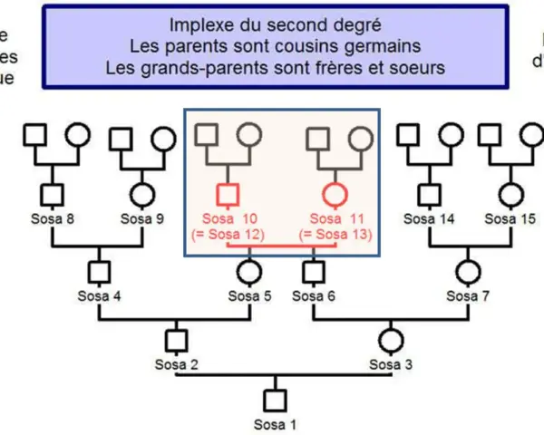 Arbre généalogique montrant un implexe du second degré. Les Sosa 10 et 11 sont issus de cousins germains, une situation parfois rencontrée dans les recherches sur Geneanet décès.